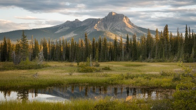 thomas f riley wilderness park